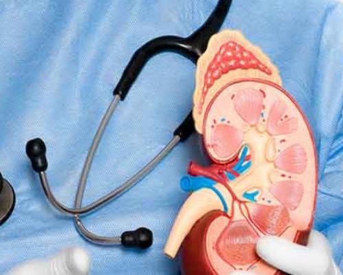 Cuba shows positive results in Nephrology services